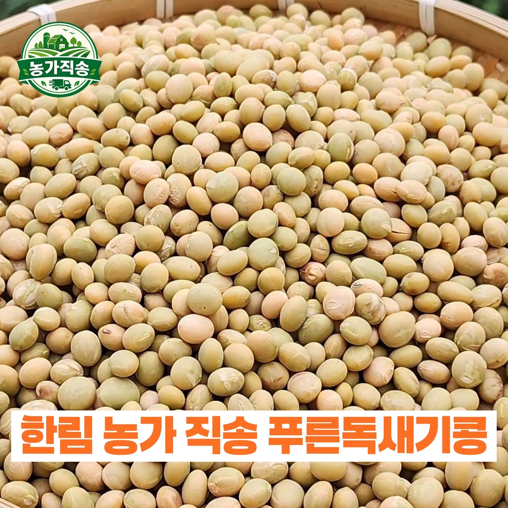 제주 푸른 독새기콩(350g,1kg)