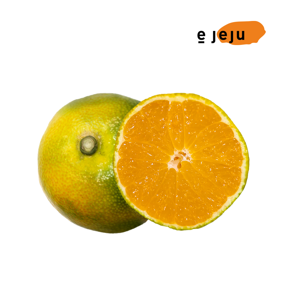 제주 유라 하우스감귤 소과(1.5kg, 2.5kg, 4.5kg)